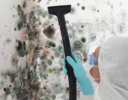 Biohazard Mold Removal